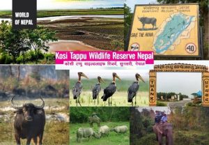 Koshi Tappu Wildlife Reserve