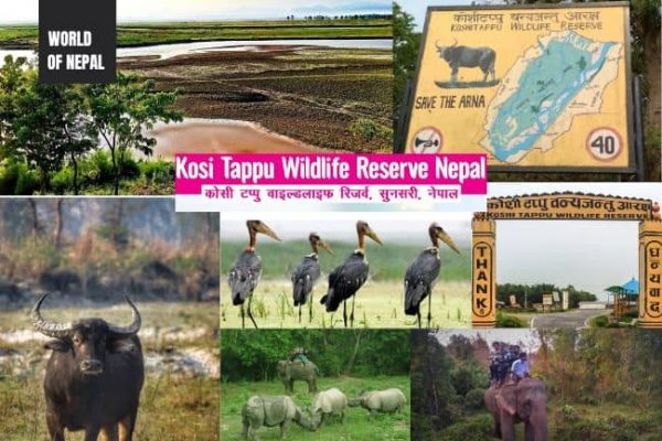 Koshi Tappu Wildlife Reserve